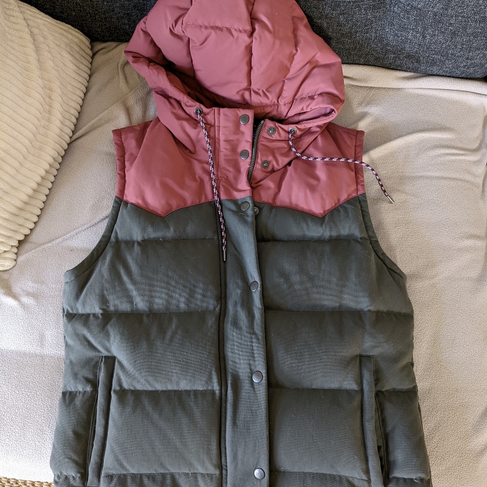 Patagonia Bicolor Hooded puffer vest